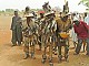 Secret society of the Kôrêdugaw, the rite of wisdom in Mali