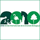 Anne internationale de la biodiversit