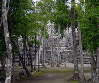 A 4D Geographic Information System to support the conservation of the Calakmul archaeological site and biosphere reserve in Mexico