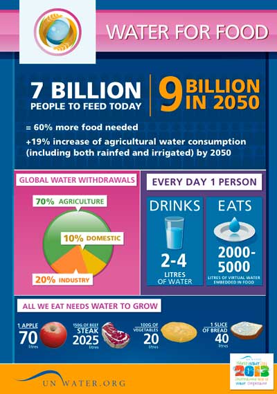 UN-Water factsheet on water for food