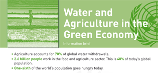 Information brief Water and Agriculture in the Green Economy