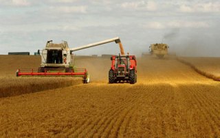 Combine harvesters work the fields in France