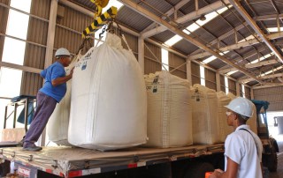 Workers load sugarcane at an ethanol distillery in Brazil. Photo: FAO/Giuseppe Bizzarri