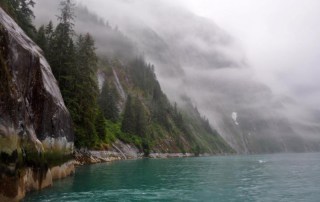 Photo: Boreal forests line a misty fjord in southeast Alaska.