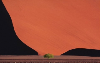 التصحر في ناميبيا. تصوير برنامج الأمم المتحدة للبيئة / غلوور