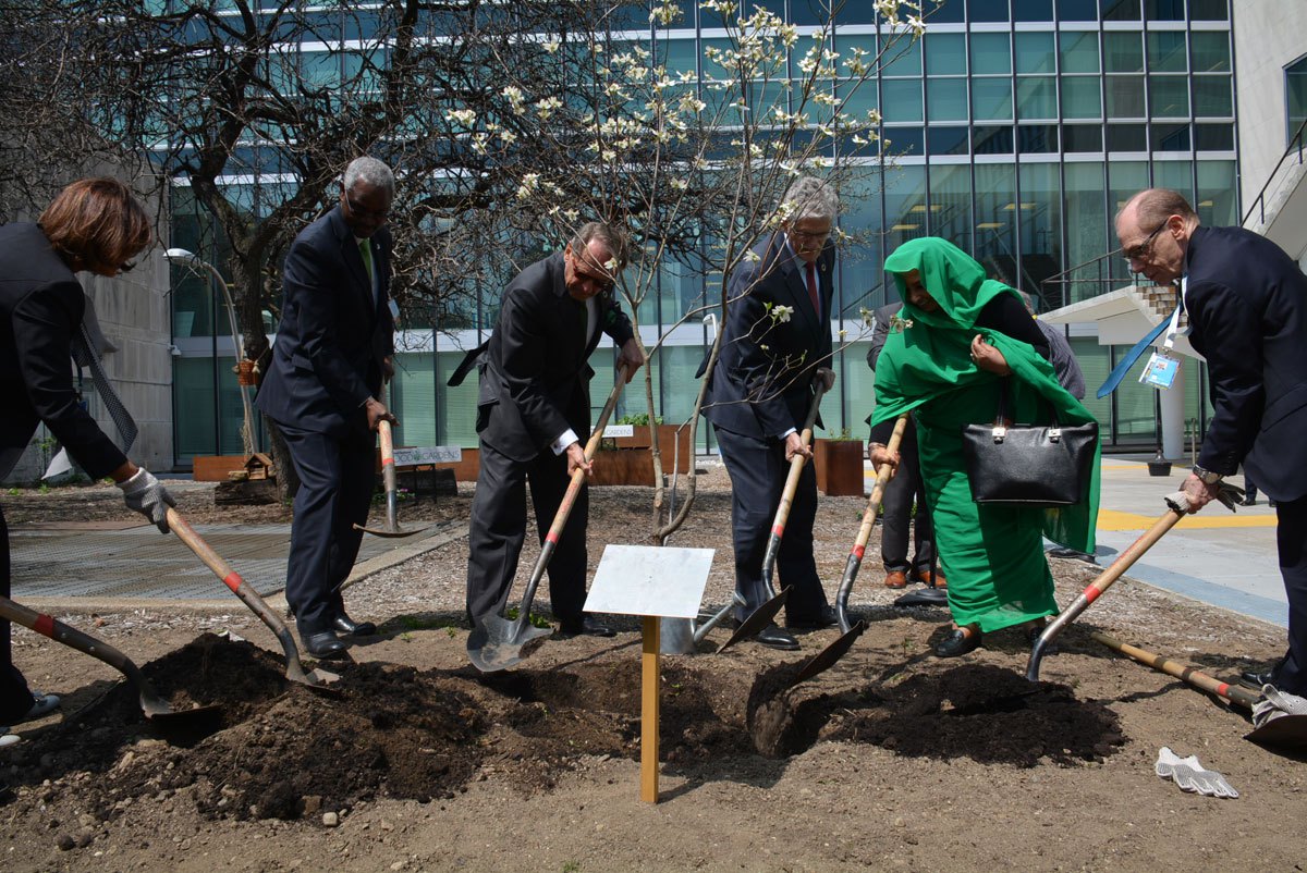 Photo:Deputy Secretary-General Jan Eliasson (3rd left) and the President of the General Assembly Mogens Lykketoft (3rd from right), help to plant a tree on 22 April 2016.