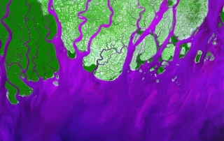 美国航空航天局卫星拍摄的恒河三角洲   联合国图片/USGS/NASA