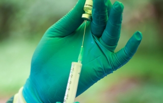 埃博拉疫苗实验在几内亚进行。世界卫生组织/S. Hawkey