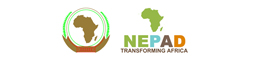 NEPAD Logo