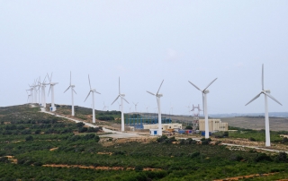 Des éoliennes en Tunisie. Photo Banque mondiale/Dana Smilie