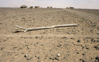 Un terrain frappé par la sécheresse au Kenya. Photo FAO/Giulio Napolitano