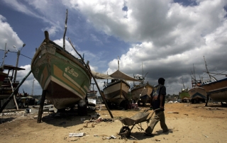 Des bâteaux de pêche au Sri Lanka. Photo : FAO/Prakash Singh