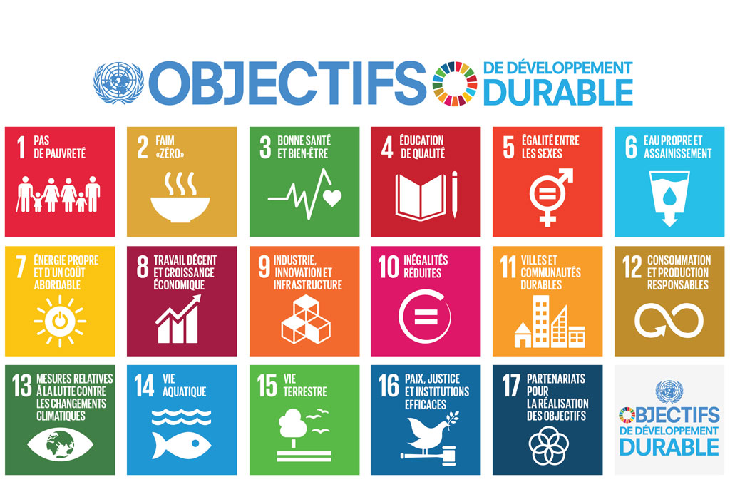 Carte des 17 Objectifs de développement durable
