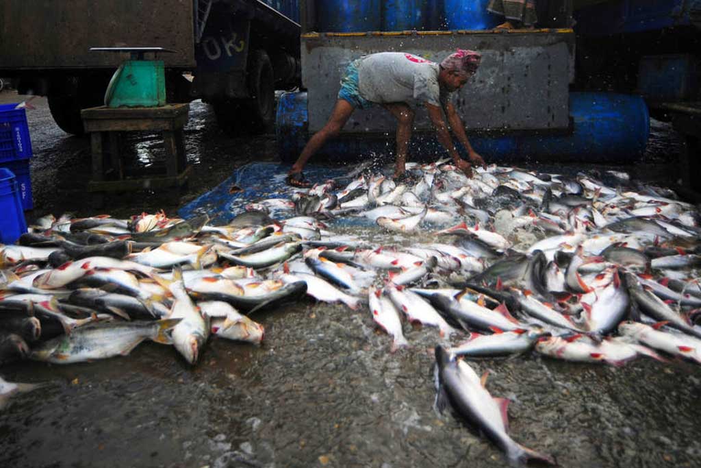 overfishing in Black sea