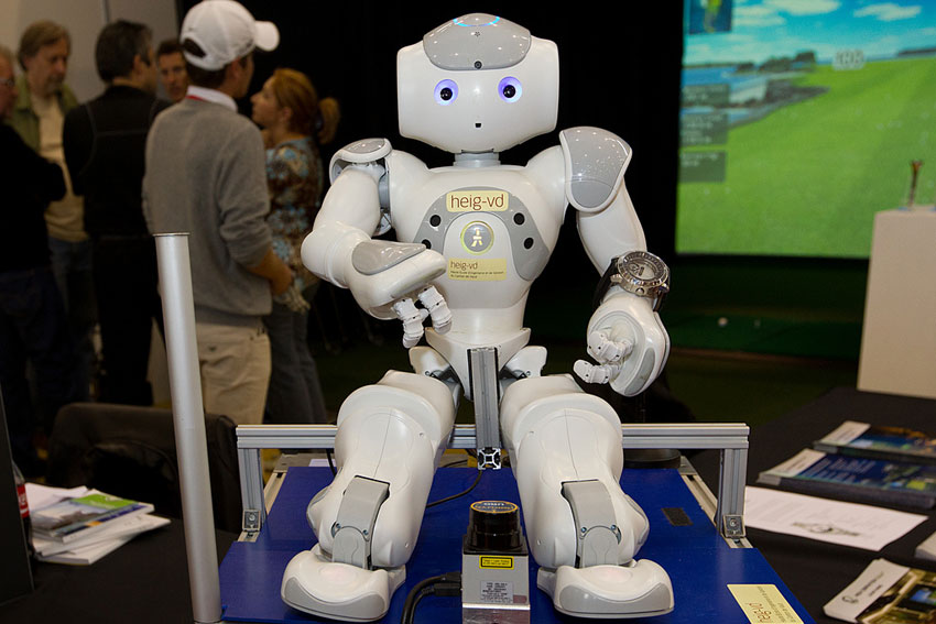 robotization and employment