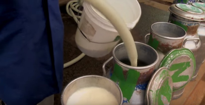 Cubos de leche. Captura de vídeo, la ONU en acción.