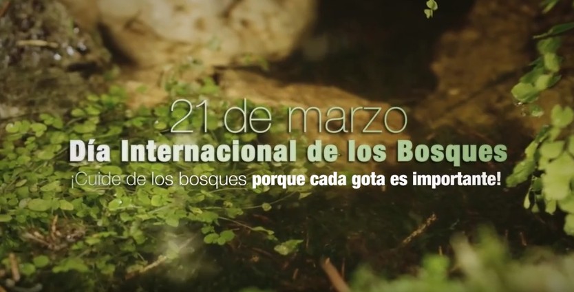 Día Internacional de los Bosques 2016. Captura de vídeo FAO