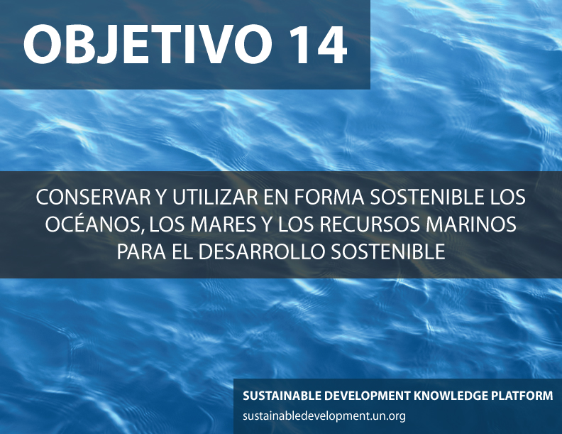 Objetivo 14: Conservar y utilizar en forma sostenible los océanos, los mares y los recursos marinos para el desarrollo sostenible. Foto ONU