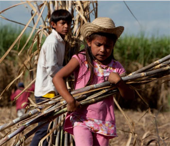 El trabajo informal afecta más a los trabajadores jóvenes. Foto UNICEF