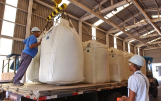 Trabajadores cargan la caña de azúcar en una destilería de etanol en Brasil. Foto: FAO / Giuseppe Bizzarri