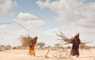 Cada vez son más los desplazados por cambio climático en África, con territorios completamente devastados por la sequía. Foto ACNUR/B. Bannon