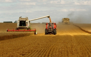 La FAO prevé una producción global de trigo de 728 millones de toneladas. Foto: FAO/Olivier Thuillier