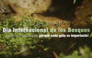 Día Internacional de los Bosques 2016. Captura de vídeo FAO