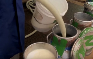 Cubos de leche. Captura de vídeo, la ONU en acción.