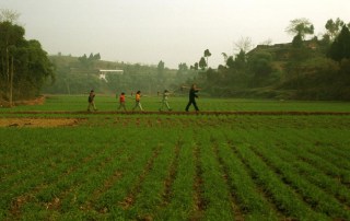 A man, followed by his grandchildren, walk through a rice field in China. Photo: FAO/Antonello Proto