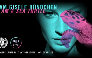 Image: Gisele Bundchen and a sea turtle.