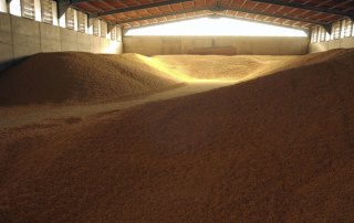 Photo: Maize stored for livestock consumption near Rome, Italy. Photo: FAO/Ivo Balderi