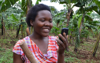 The Enabling Farmers to Adapt to Climate Change project uses a set of ICT tools to collect, analyze and send out agricultural advisories, crop and livestock market information and weather data to Ugandan farmers, who are among the most affected by the impacts of climate change.