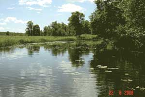 The_Kasari_River_in_the_Käntu_Kastja_Natura_2000_area