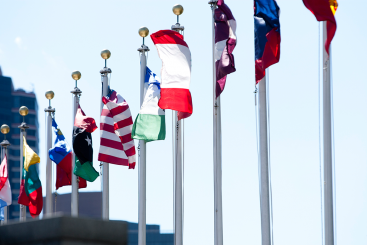 Les drapeaux des Etats Membres flottent à l'extérieur du bâtiment du Secrétariat de l'ONU