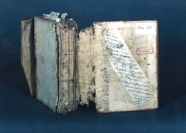 Damage by insects on an oriental manuscripts