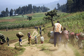 North Kivu, DRC
