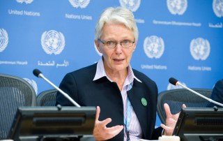 Head of the UN Office for Disaster Risk Reduction (UNISDR) Margareta Wahlström. UN Photo/Evan Schneider