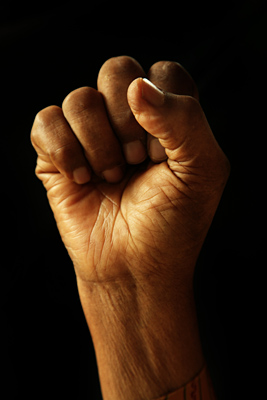 Кулак Манделы, март 2009 года.