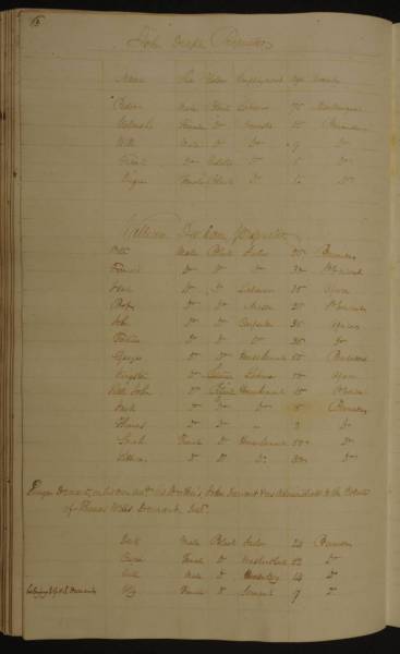 Register of Slaves, 1821