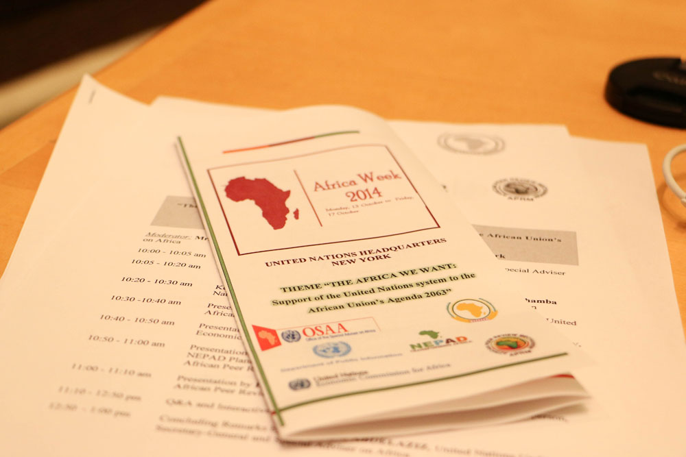 Programme of the Africa Week 2014