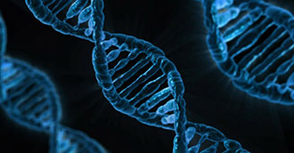 El ADN humano. Crédito: Creative Commons CC0