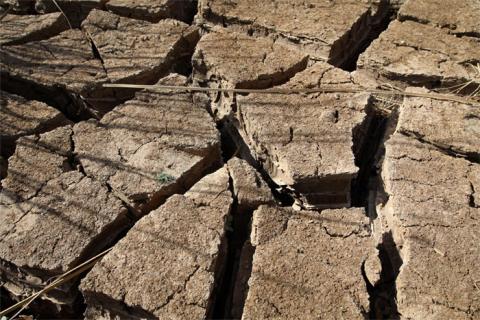 Parched earth in Tahoua Province, Niger. Africa is highly vulnerable to climate change.
