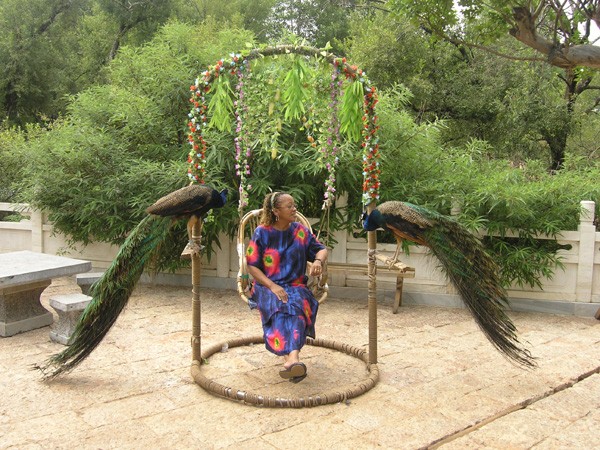Ms Mandy Gilder on peacock swing