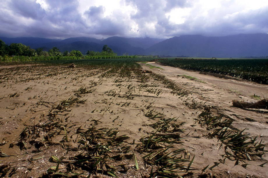 El cambio climático tiene serias repercusiones para la agricultura y la seguridad alimentaria. Foto: FAO/L. Dematteis