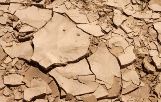 Example of good fertile earth that has dried and cracked from lack of rain. Photo: FAO/Jeanette Van Acker