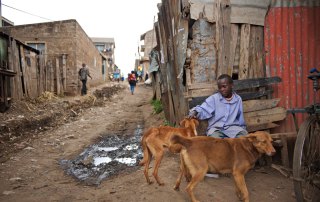 Photo: About 80 per cent of people exposed to rabies live in poor, rural areas of Africa and Asia with no access to prompt treatment should they be bitten.