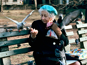 Une dame âgée nourrit des pigeons.