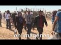 Unos refugiados caminando
