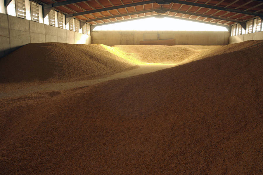 Maize stored for livestock consumption near Rome, Italy. Photo: FAO/Ivo Balderi