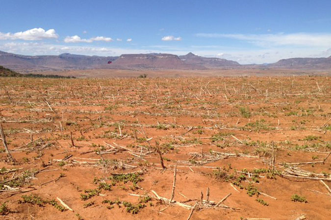 Barren fields due to the impact of El Niño-induced drought in the Southern African nation of Lesotho. Photo: FAO